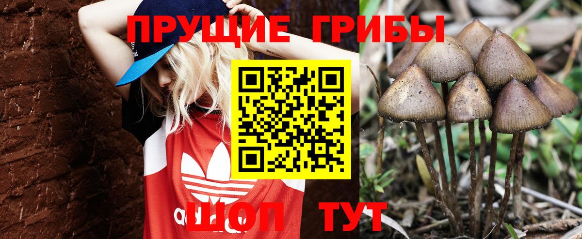 Фурманов  Галлюциногенные грибы ЛСД  Галлюциногенные грибы MAGIC MUSHROOMS  Вход с VPN 
