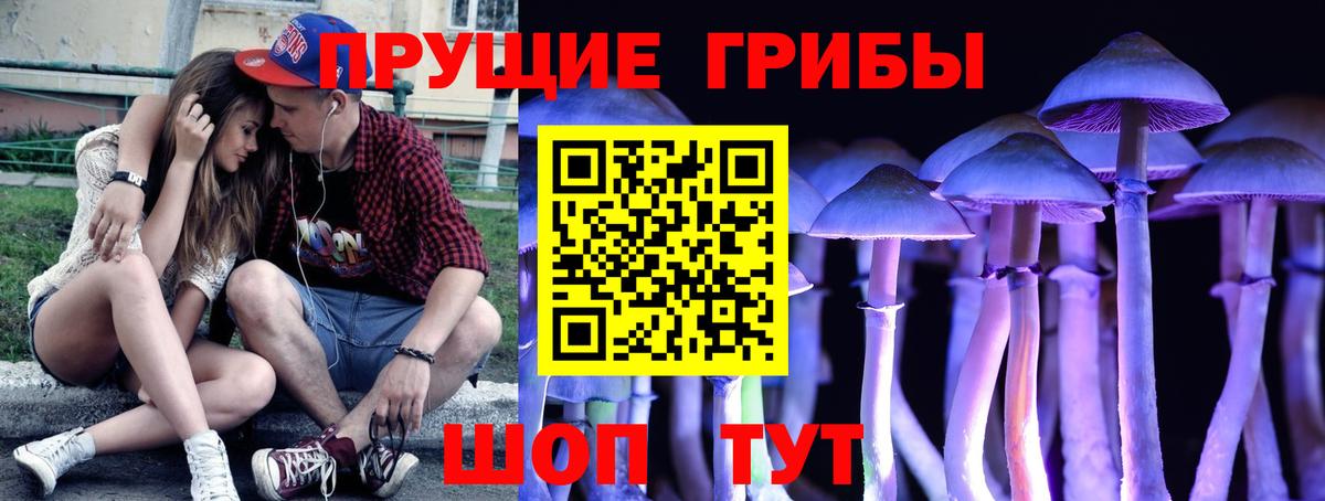 Псилоцибиновые грибы мицелий Фурманов